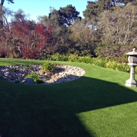 Artificial Turf Evans, Georgia Landscape Design, Backyard Designs