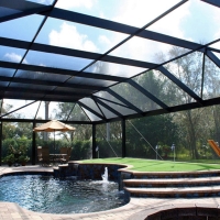 Fake Turf Thunderbolt, Georgia Home And Garden, Backyard Pool