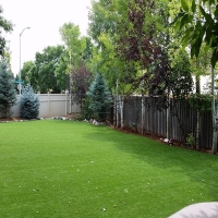 Grass Carpet Holly Springs, Georgia Landscape Ideas, Backyard Landscaping