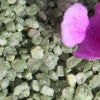 Green Sand Green Sand