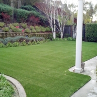 Synthetic Turf Supplier Georgetown, Georgia Garden Ideas, Backyard Landscape Ideas
