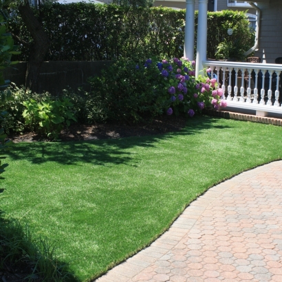 Artificial Grass Trion, Georgia Dog Grass, Small Front Yard Landscaping