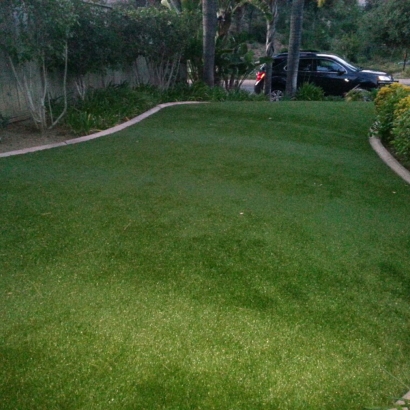 Artificial Lawn Sparks, Georgia Landscaping Business, Front Yard Landscaping Ideas
