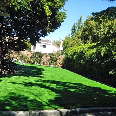 Artificial Turf Broxton, Georgia City Landscape, Backyard Ideas