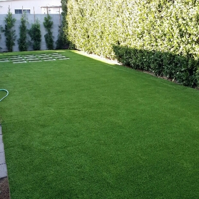 Artificial Turf Cost Broxton, Georgia Artificial Grass For Dogs, Backyard Landscape Ideas