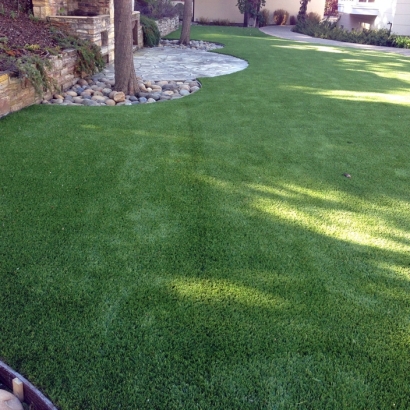 Artificial Turf Installation Lakeview, Georgia Pictures Of Dogs, Backyard Ideas
