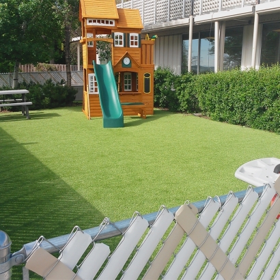 Best Artificial Grass Clermont, Georgia Backyard Deck Ideas, Backyard Landscape Ideas