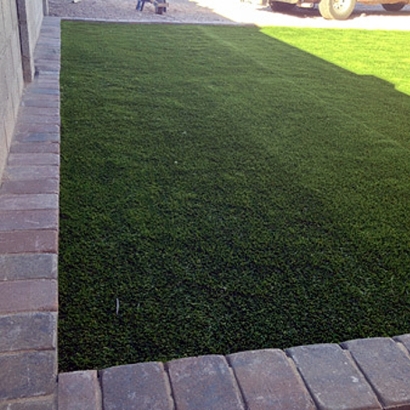 Fake Grass Oxford, Georgia Grass For Dogs, Front Yard Landscape Ideas