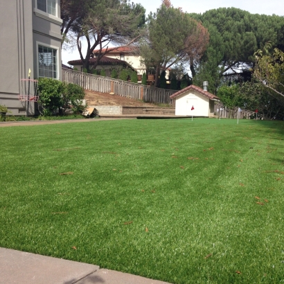 Fake Grass Rincon, Georgia Putting Green Turf, Backyard Design
