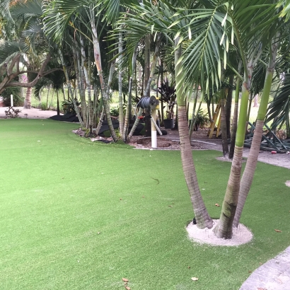 How To Install Artificial Grass Indian Springs, Georgia Landscaping Business, Commercial Landscape