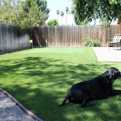 Synthetic Grass Baldwin, Georgia Artificial Grass For Dogs, Dogs
