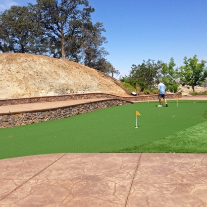 Synthetic Lawn Centerville, Georgia Putting Green, Backyard Landscaping Ideas