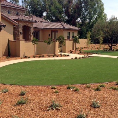 Synthetic Lawn Trion, Georgia Landscape Photos, Landscaping Ideas For Front Yard