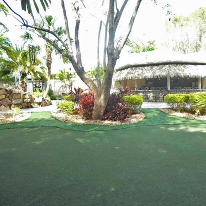 Synthetic Turf Kings Bay Base, Georgia Home Putting Green, Commercial Landscape