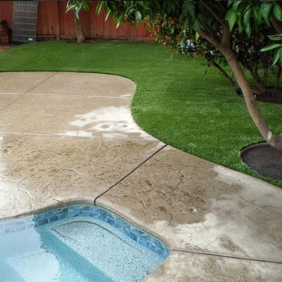 Synthetic Turf Supplier Georgetown, Georgia Landscape Rock, Kids Swimming Pools