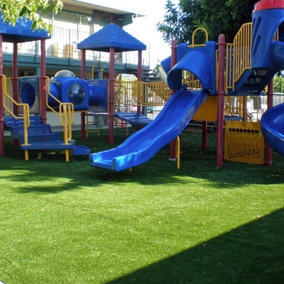 Synthetic Turf Supplier Pine Mountain, Georgia Lacrosse Playground, Commercial Landscape