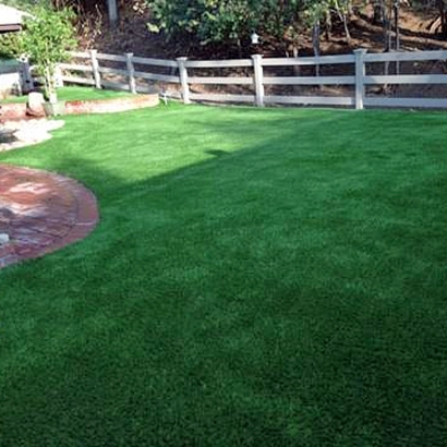Turf Grass Dasher, Georgia Cat Playground, Small Backyard Ideas