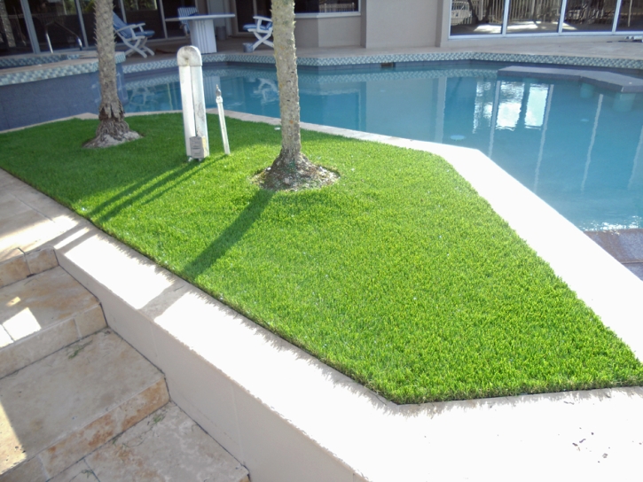 Artificial Grass Edison, Georgia Home And Garden, Backyard Designs