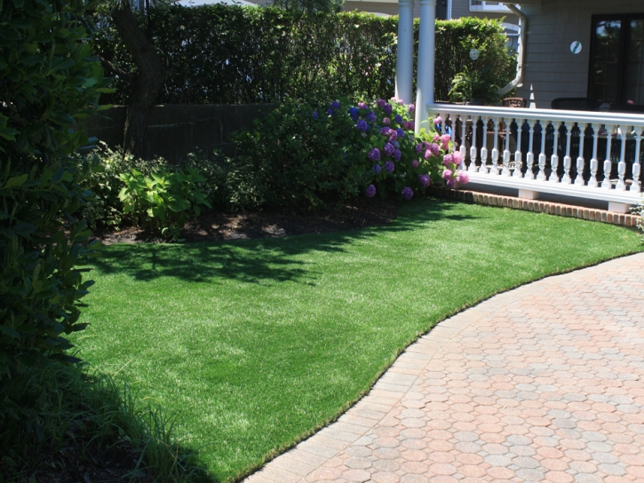 Artificial Grass Trion, Georgia Dog Grass, Small Front Yard Landscaping