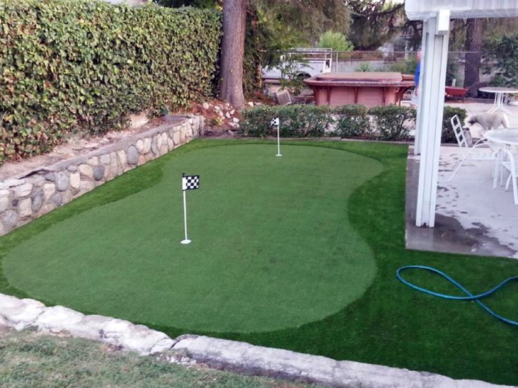 Artificial Lawn Dock Junction, Georgia Diy Putting Green, Backyard Designs