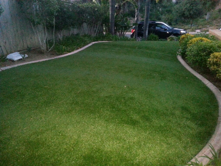 Artificial Lawn Sparks, Georgia Landscaping Business, Front Yard Landscaping Ideas