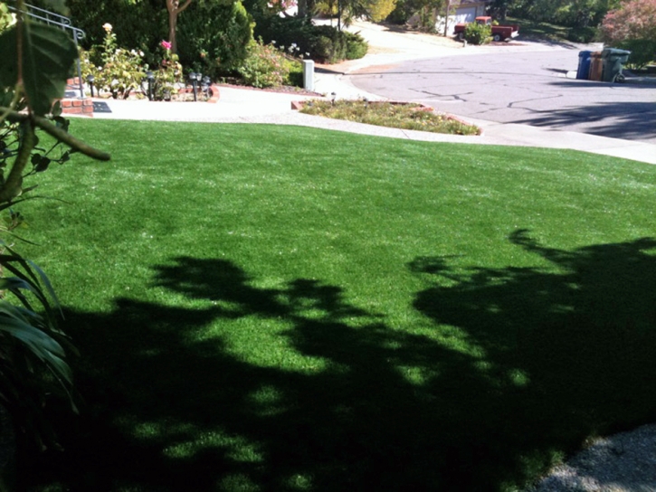 Artificial Turf Cost Centerville, Georgia Rooftop, Front Yard Landscape Ideas