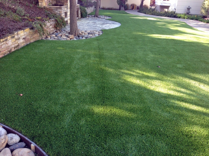 Artificial Turf Installation Lakeview, Georgia Pictures Of Dogs, Backyard Ideas