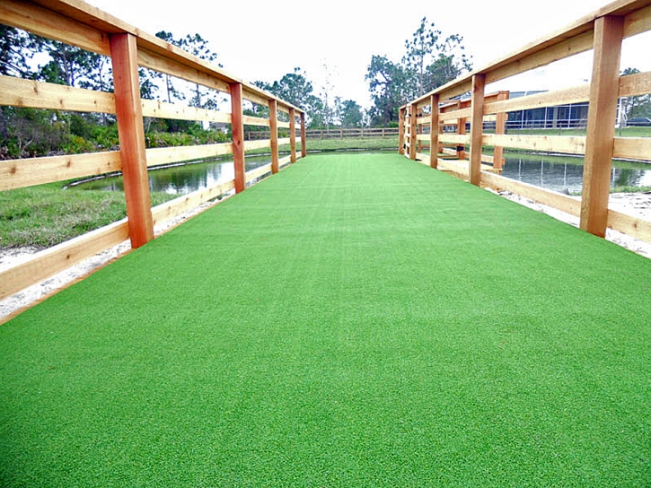 Best Artificial Grass Yonah, Georgia Backyard Deck Ideas, Commercial Landscape