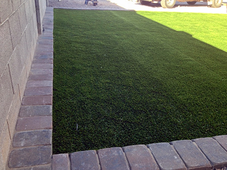 Fake Grass Oxford, Georgia Grass For Dogs, Front Yard Landscape Ideas