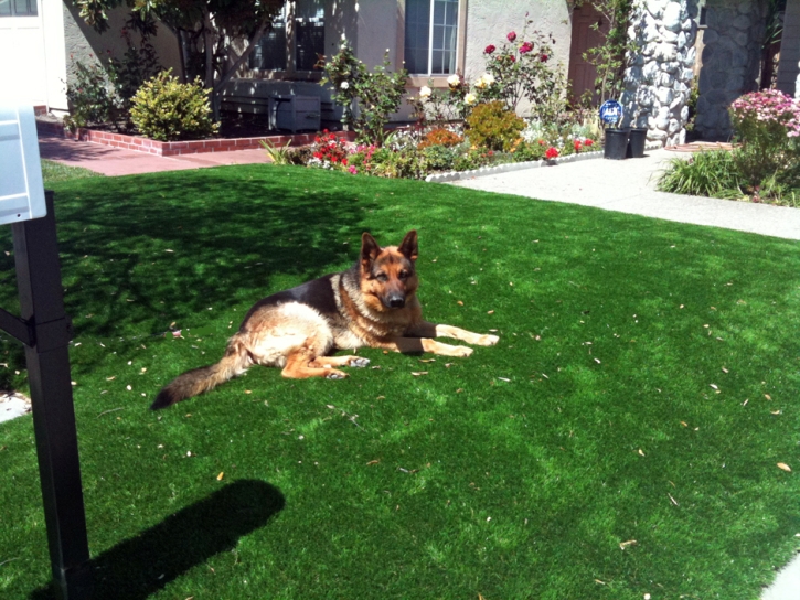 Faux Grass Young Harris, Georgia Artificial Grass For Dogs, Front Yard Landscaping Ideas