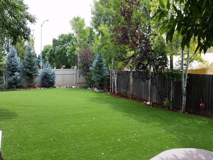 Grass Carpet Holly Springs, Georgia Landscape Ideas, Backyard Landscaping