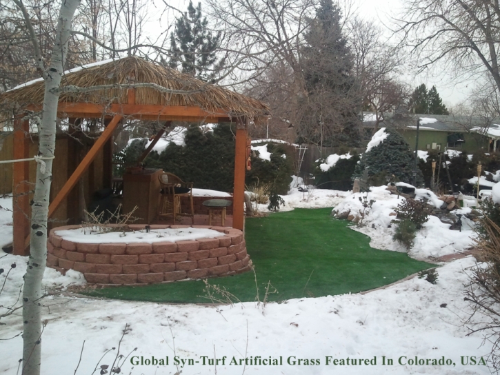 Installing Artificial Grass Unadilla, Georgia Home And Garden, Backyard Landscaping Ideas