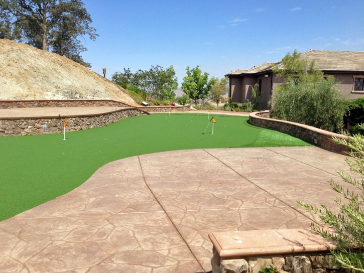 Installing Artificial Grass Whitemarsh Island, Georgia Home Putting Green, Backyard Designs