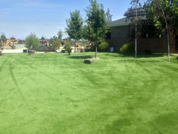Synthetic Grass Cost Mountain Park, Georgia Home And Garden, Parks