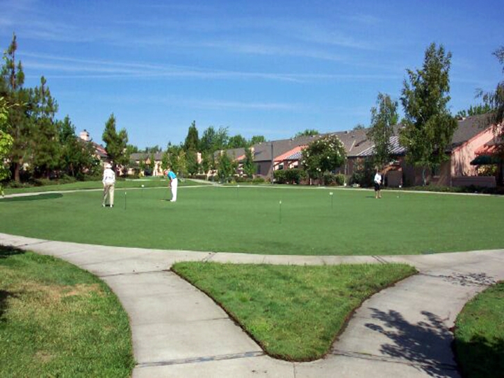 Synthetic Grass Cost Unadilla, Georgia Home Putting Green, Commercial Landscape