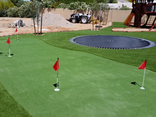 Synthetic Grass Plains, Georgia How To Build A Putting Green, Backyard