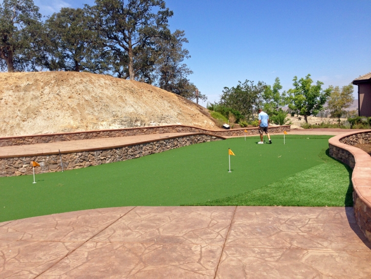 Synthetic Lawn Centerville, Georgia Putting Green, Backyard Landscaping Ideas