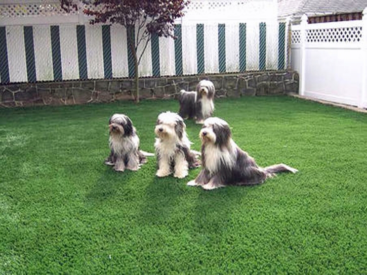 Synthetic Turf Supplier Saint Simons, Georgia Watch Dogs, Grass for Dogs