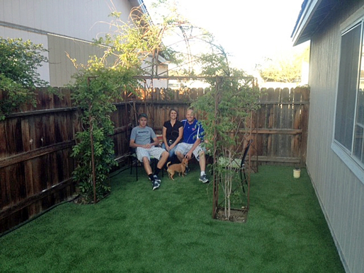 Synthetic Turf Supplier Sycamore, Georgia Artificial Grass For Dogs, Backyard Designs