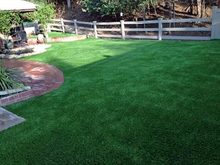 Turf Grass Dasher, Georgia Cat Playground, Small Backyard Ideas