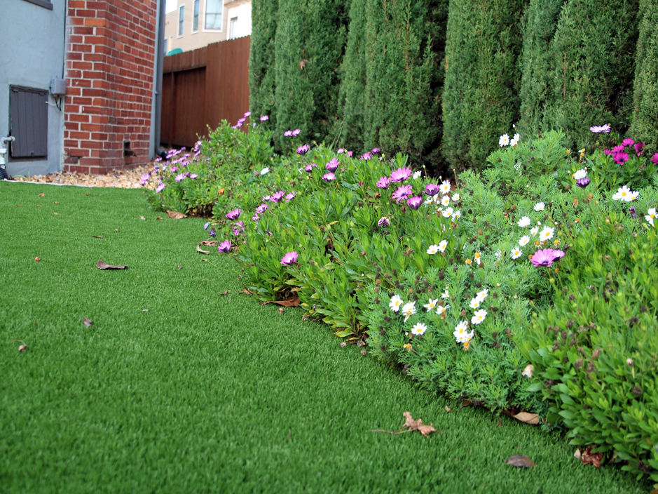Best Artificial Grass Milton Georgia, Best Plants For Landscaping In Georgia